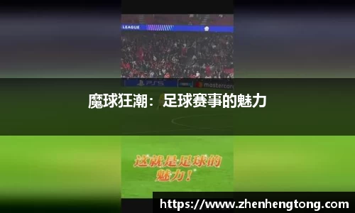 魔球狂潮：足球赛事的魅力